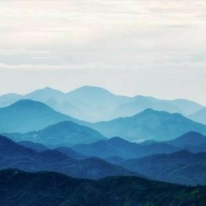 Meet your Posher, Jonelle